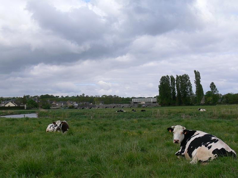 Mont Saint Michel 2010 - 373.jpg